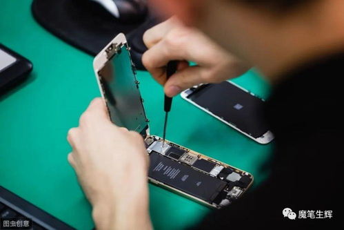 年輕人創(chuàng)業(yè)好項目,職場者做副業(yè)的好選擇,互聯(lián)網時代副業(yè)剛需